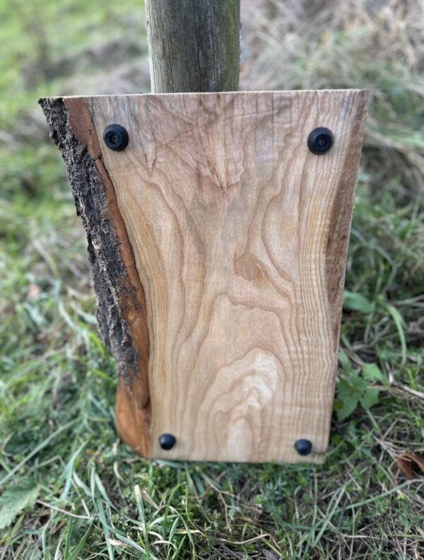 Ash Charcuterie Board with Live Edge - Image 2